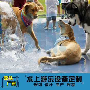 狗狗玩水樂園