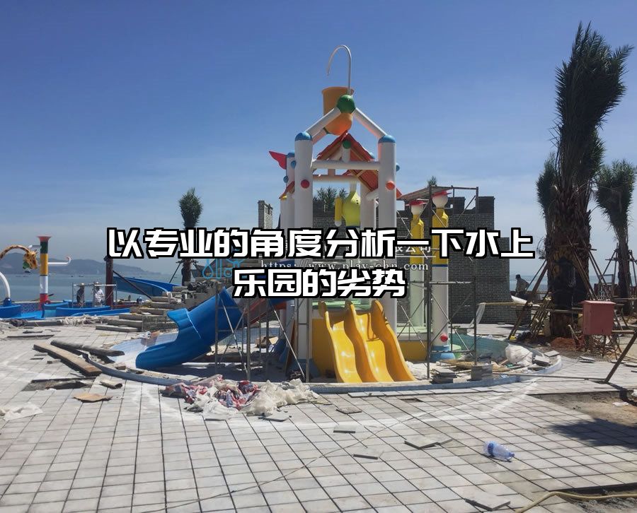 以專業(yè)的角度分析一下水上樂園的劣勢