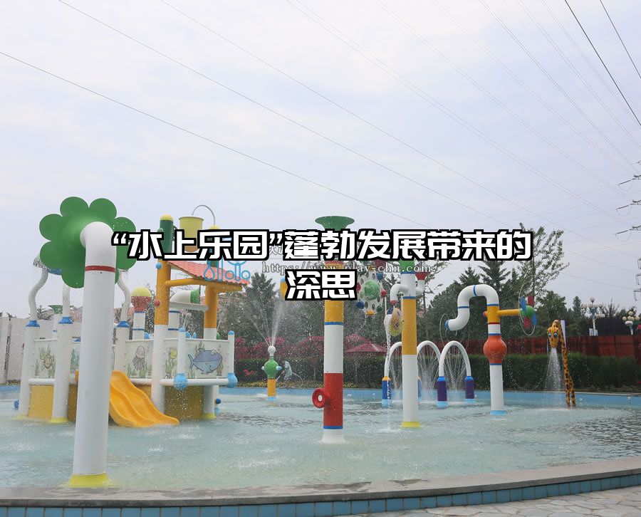 “水上樂園”蓬勃發展帶來的深思