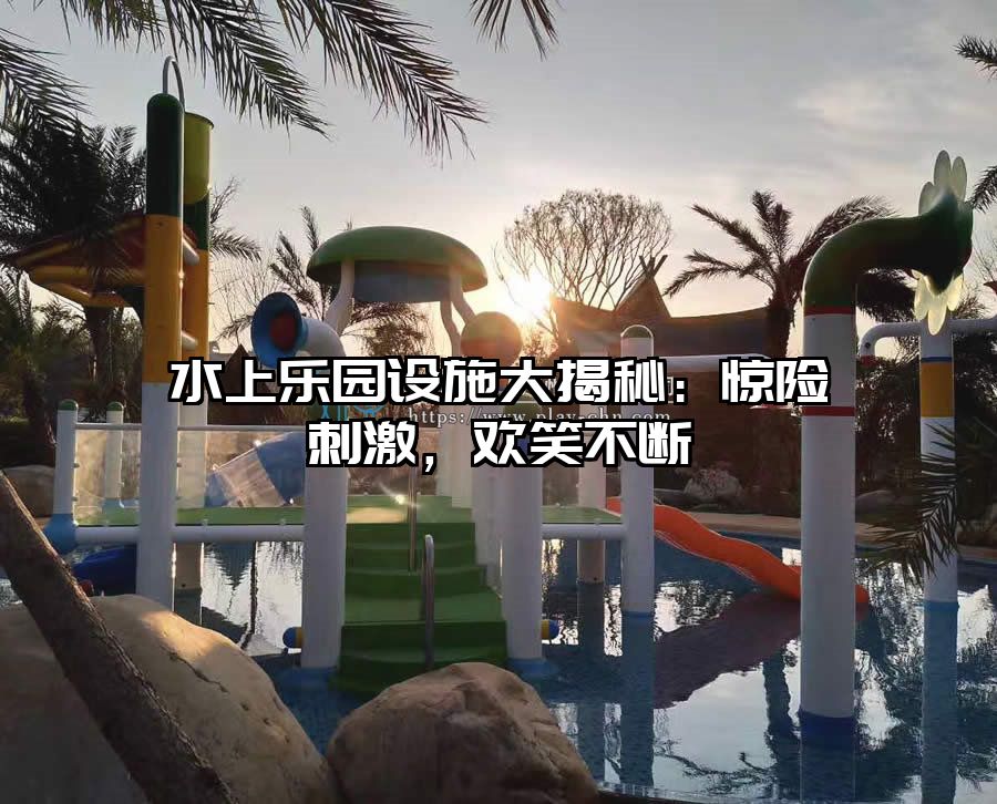 水上樂園設施大揭秘：驚險刺激，歡笑不斷